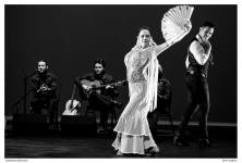Inspiracion Flamenca by Byron Medina